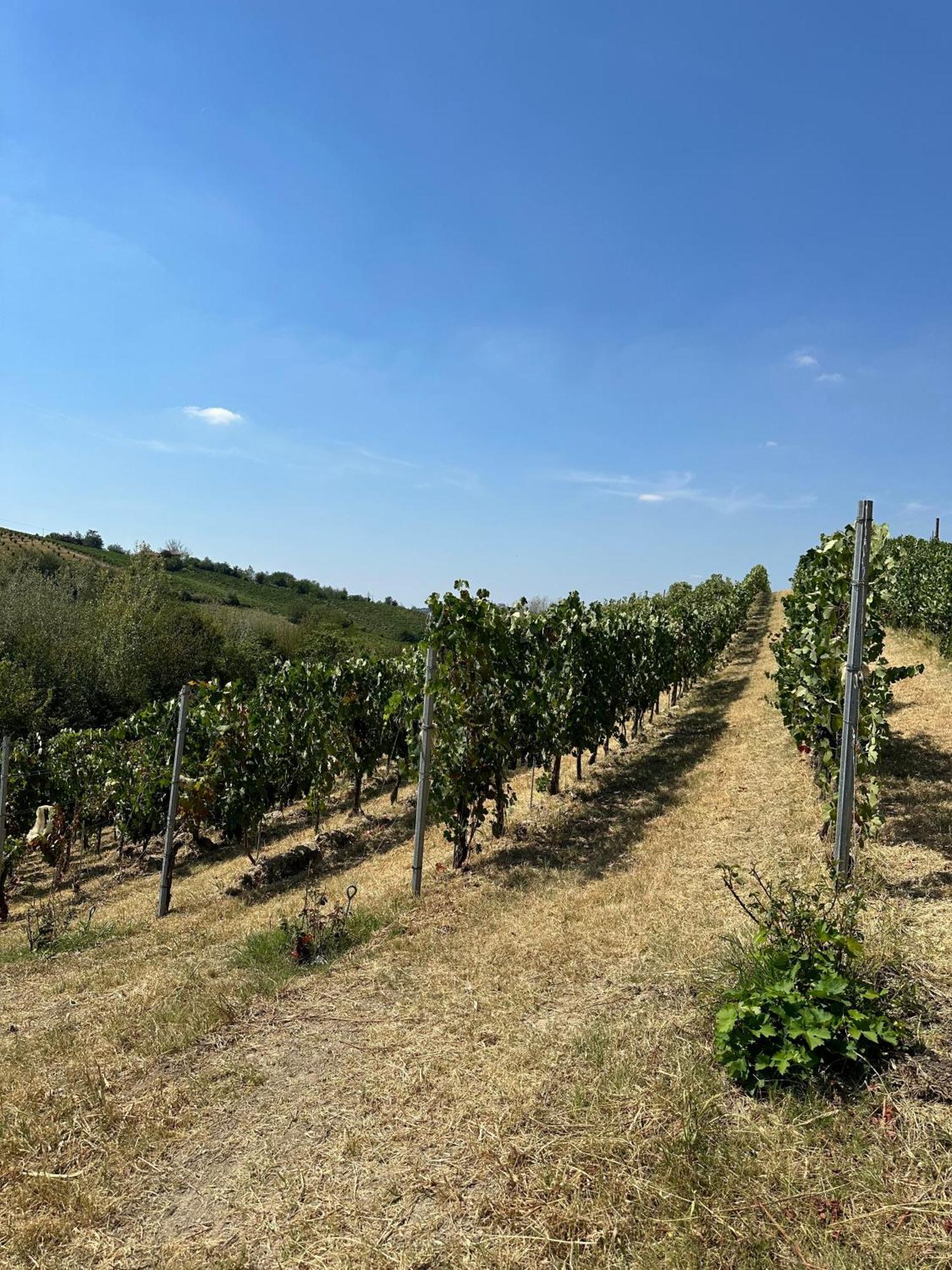 Cadgal - Tenuta La Cova Calamandrana Екстер'єр фото